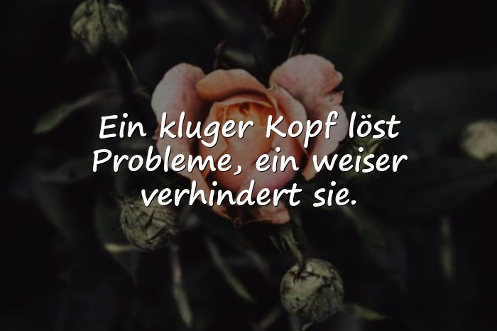 Bilder mit zitate albert einstein - 1