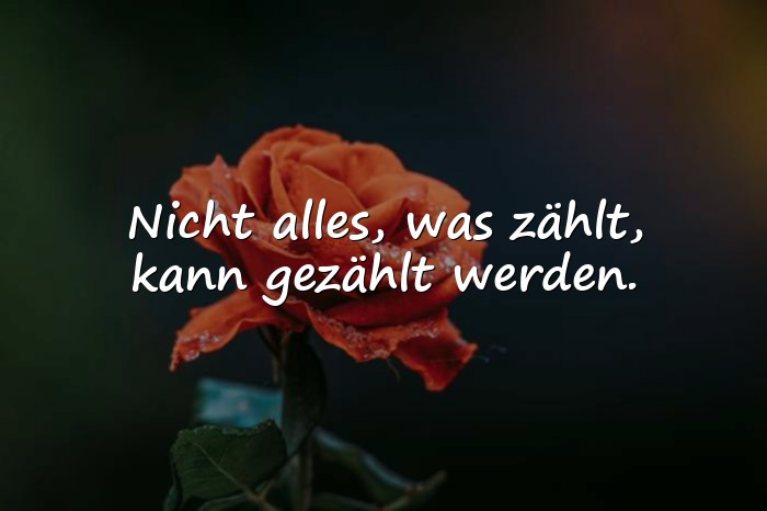Bilder mit zitate albert einstein - 21