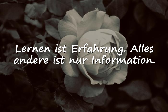 Bilder mit zitate albert einstein - 16