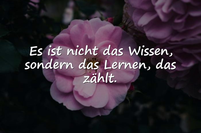 Bilder mit zitate albert einstein - 11
