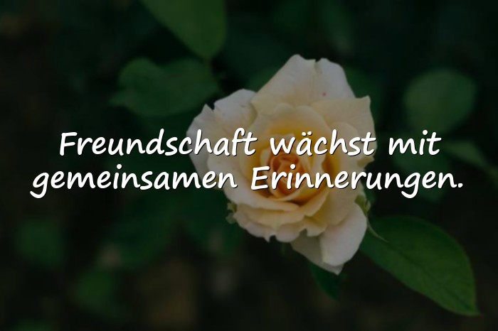 Bilder mit zitate freundschaft - 11