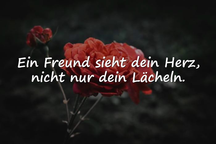 Bilder mit zitate freundschaft - 6