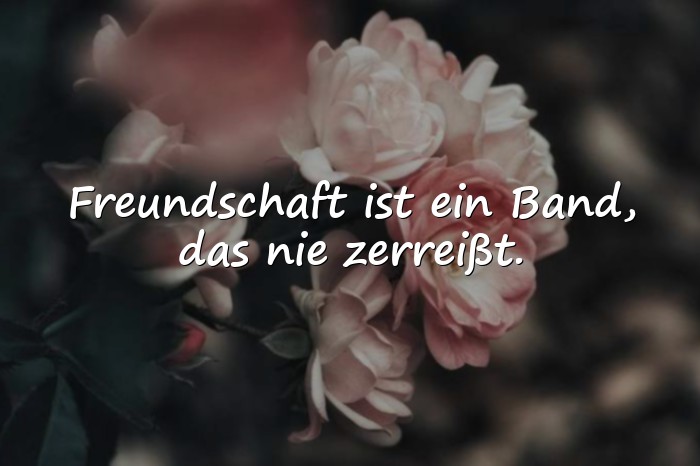 Bilder mit zitate freundschaft - 2