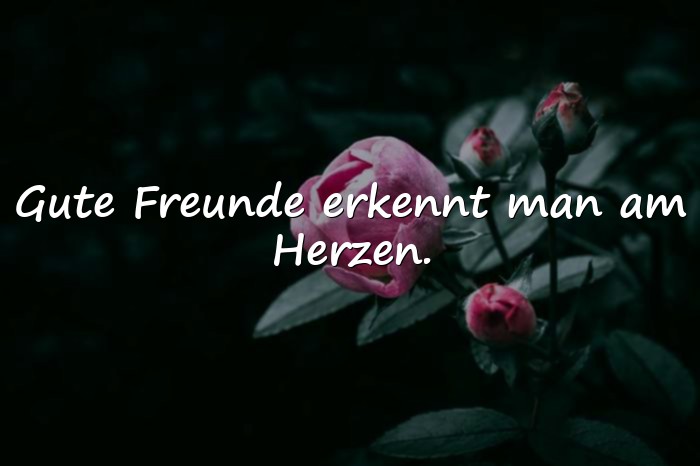 Bilder mit zitate freundschaft - 22