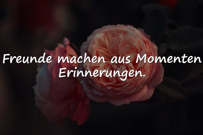 Bilder mit zitate freundschaft - 15