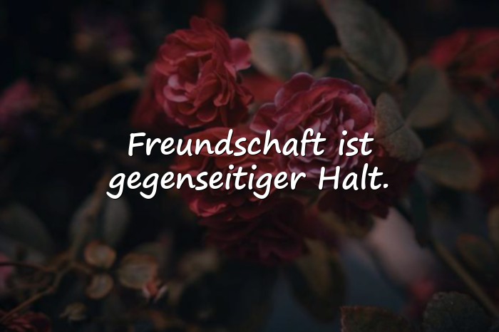 Bilder mit zitate freundschaft - 10