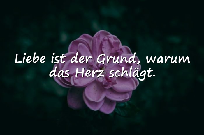 Bilder mit zitate über liebe - 18