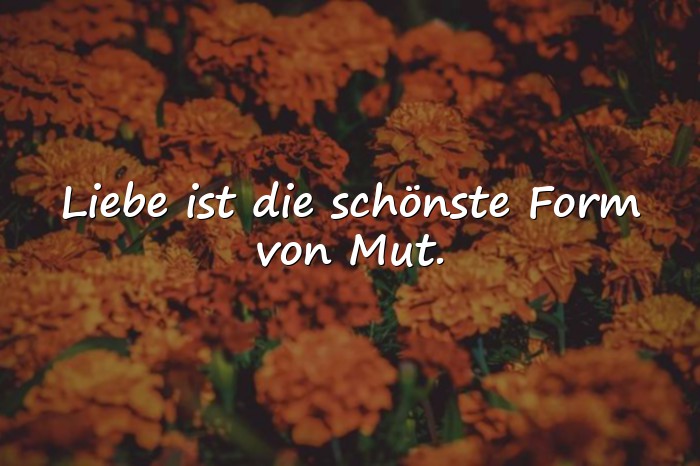 Bilder mit zitate über liebe - 16