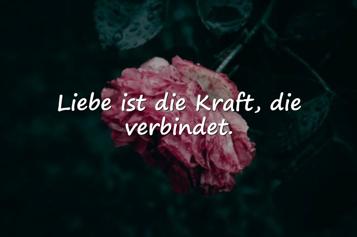 Bilder mit zitate über liebe - 12