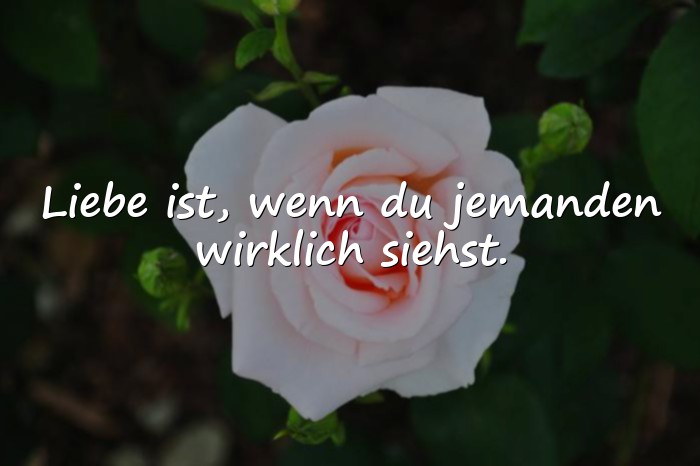 Bilder mit zitate über liebe - 8