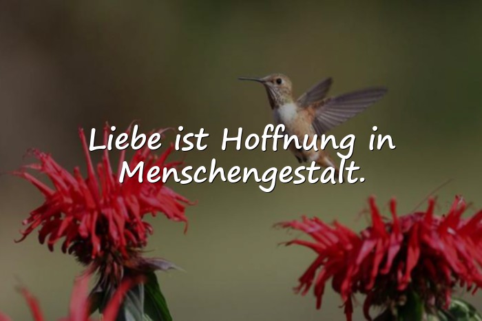 Bilder mit zitate über liebe - 5