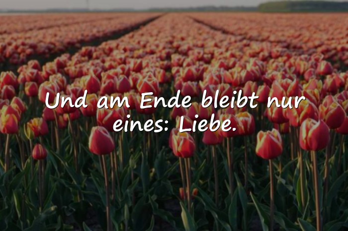 Bilder mit zitate über liebe - 1