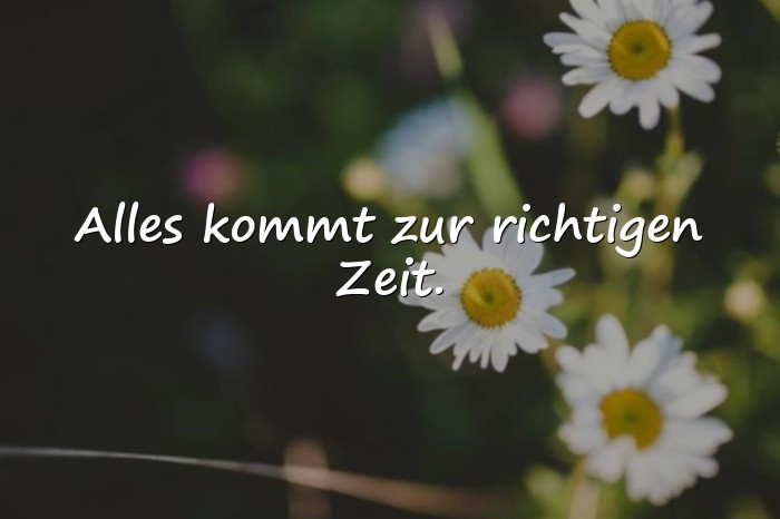 Bilder mit zuversicht sprüche - 25