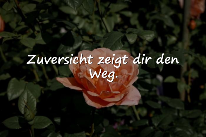 Bilder mit zuversicht sprüche - 21