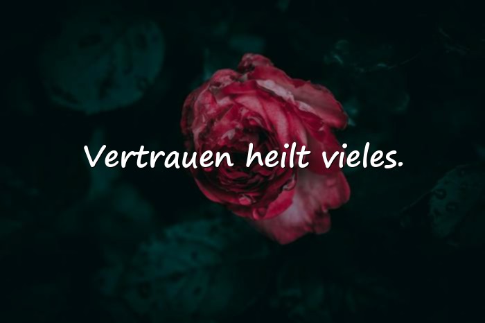 Bilder mit zuversicht sprüche - 17
