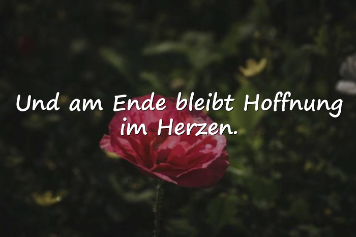 Bilder mit zuversicht sprüche - 1
